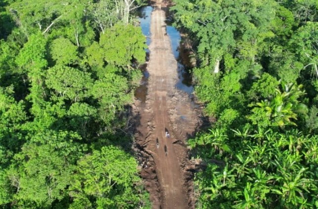All new roads lead to increased deforestation in Ecuador’s indigenous Amazon territory