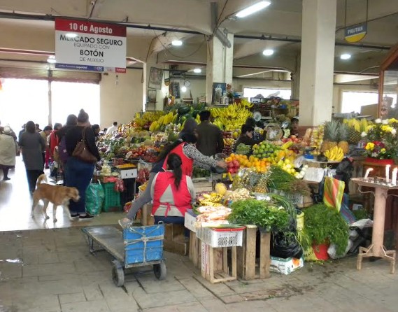 After six months in Cuenca: When the city stops being a stage for expats