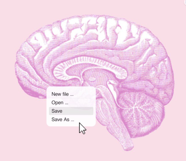 The midlife habits that could make or break your brain health in the long-term